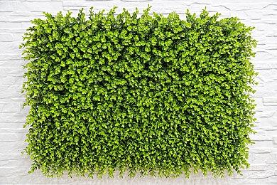 《发条水瓶座》将于今年夏季推出Xbox One＆PC版